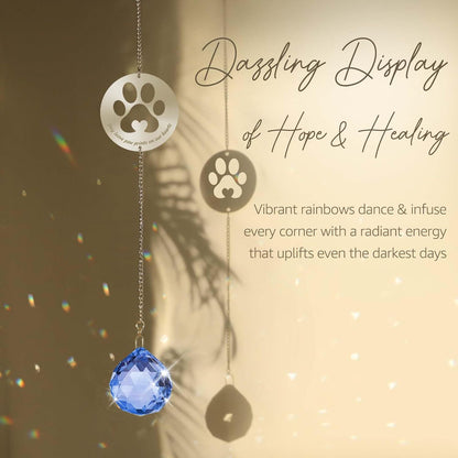 Pet Memorial Crystal Sun Catcher with Gift Box