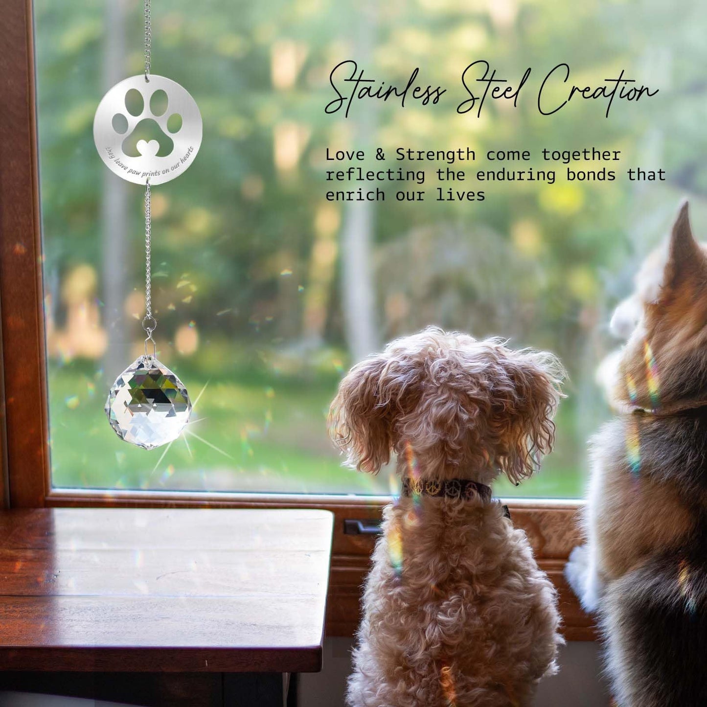 Pet Memorial Crystal Sun Catcher with Gift Box